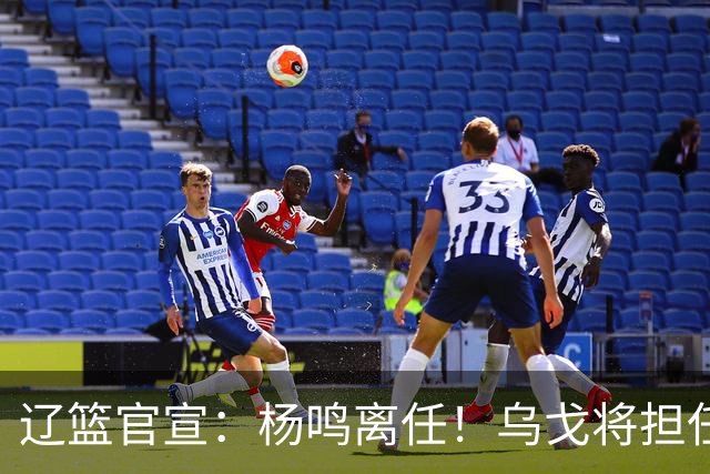 辽篮官宣：杨鸣离任！乌戈将担任辽宁男篮主帅