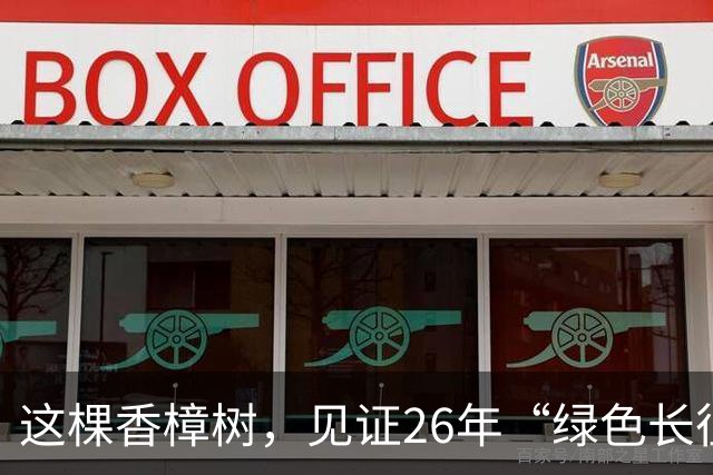 这棵香樟树，见证26年“绿色长征”